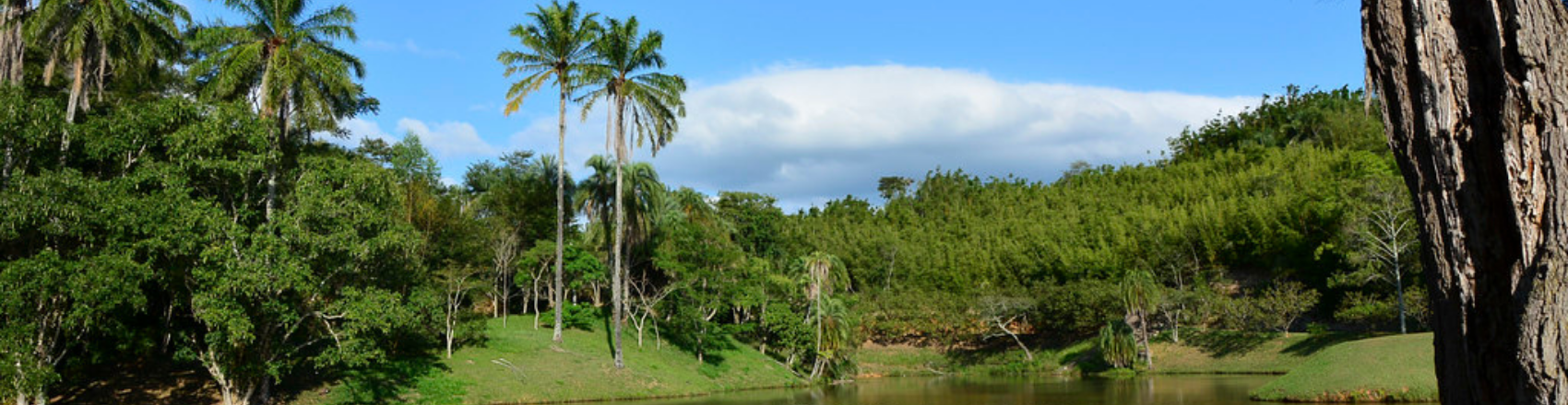 Lago da Fazenda Monte Alegre em Vassouras.
