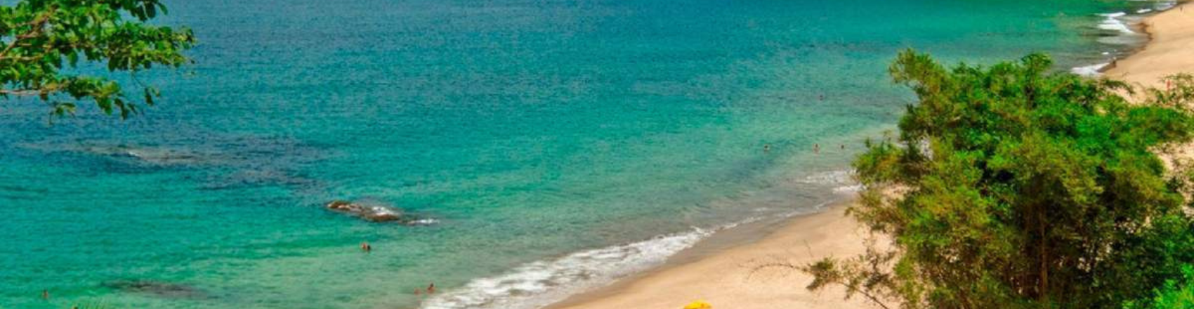 Praia com mar esverdeado e areia clara.