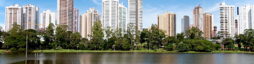 Parque em Londrina com vista para o lago. As árvores atrás cobrem a frente dos prédios, que se amontoam ao fundo na linha do horizonte. O dia está ensolarado e o céu azul.
