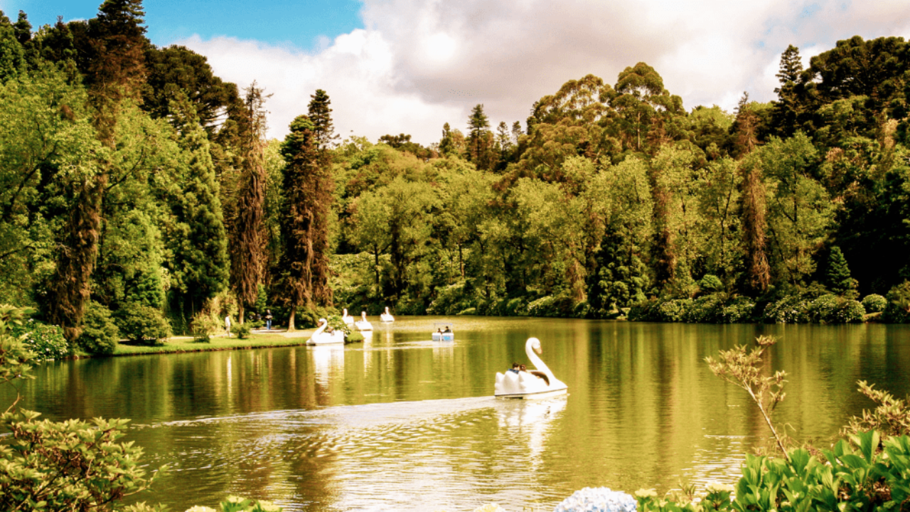 Parque na cidade de Gramado, no Rio Grande do Sul, com árvores verdes ao redor e pedalinhos com pessoas aproveitando o lago.