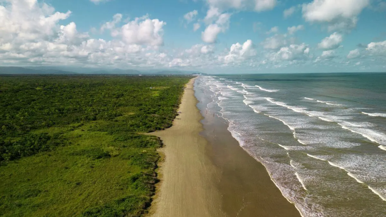 Praia de Peruíbe, em São Paulo, completamente deserta, com ondas pequenas, areia e uma área verde de mata ciliar do outro lado.