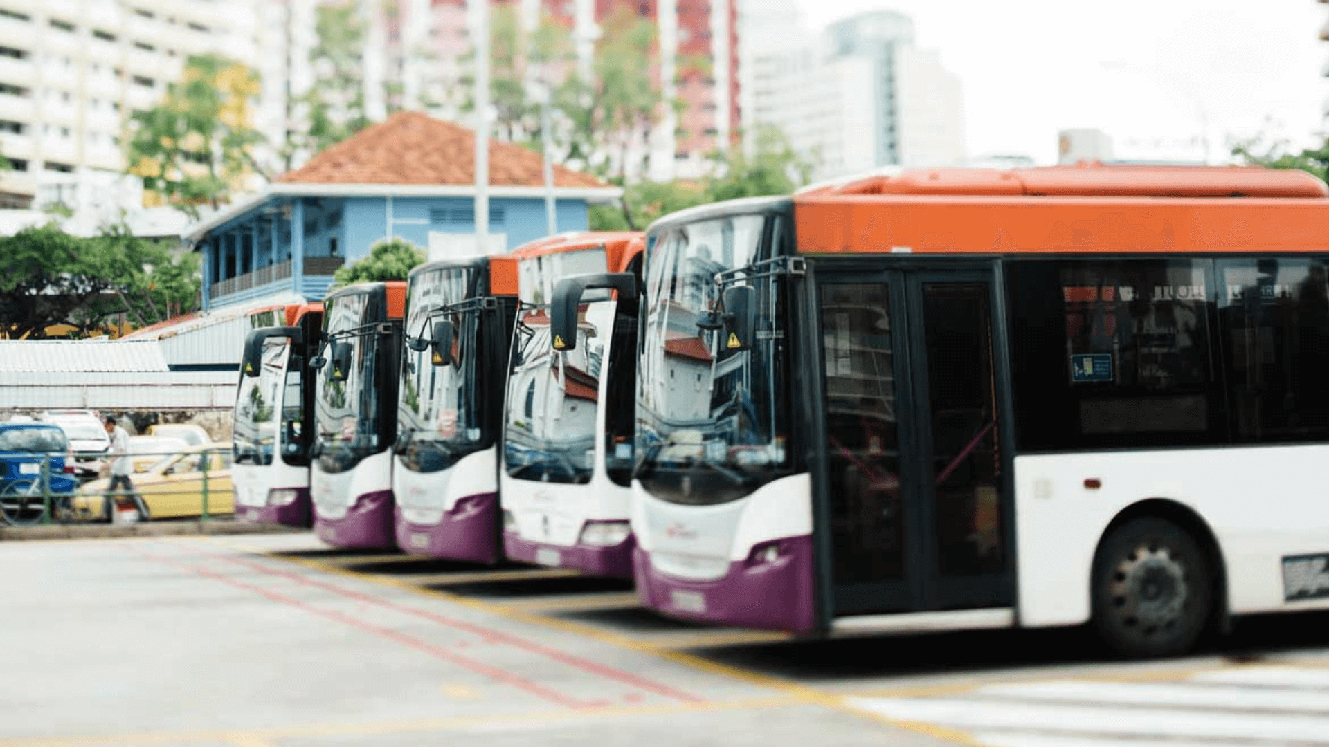 Imagem de 45 ônibus de viagem estacionados lado a lado, aguardando o embarque.