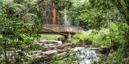 Imagem do Parque Recanto das Cachoeiras em Brotas, São Paulo. A foto mostra uma queda d'água que passa por baixo de uma ponte, com vegetação ao redor em dia ensolarado.