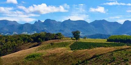 Imagem de campo em Muriaé, Minas Gerais. A foto mostra um campo aberto em dia ensolarado com montanhas ao fundo.