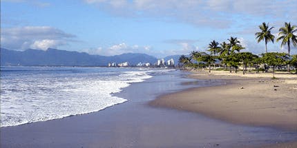  Imagem da orla da praia de Caraguatatuba em dia ensolarado com vegetação ao redor da orla.