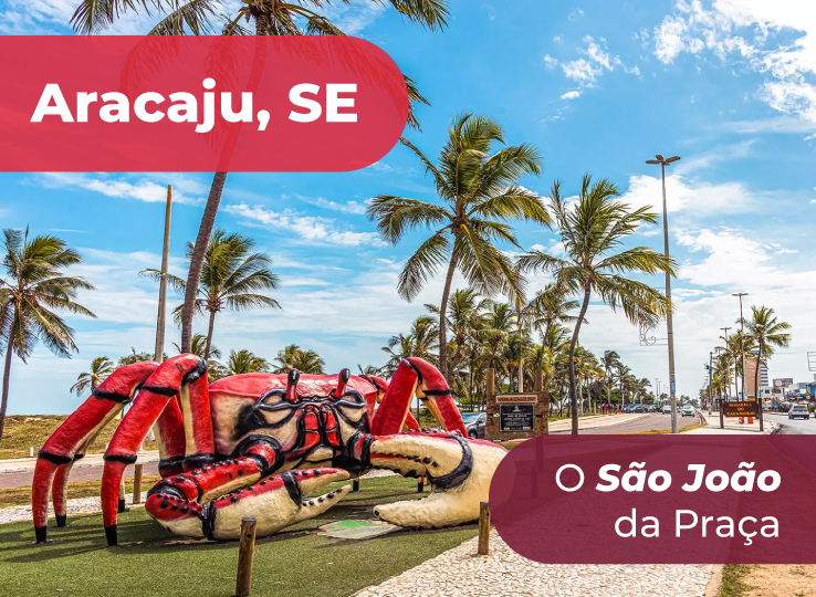 Minha Figura