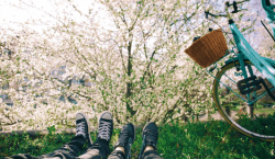 Duas pessoas deitadas na grama de frente para uma cerejeira.
