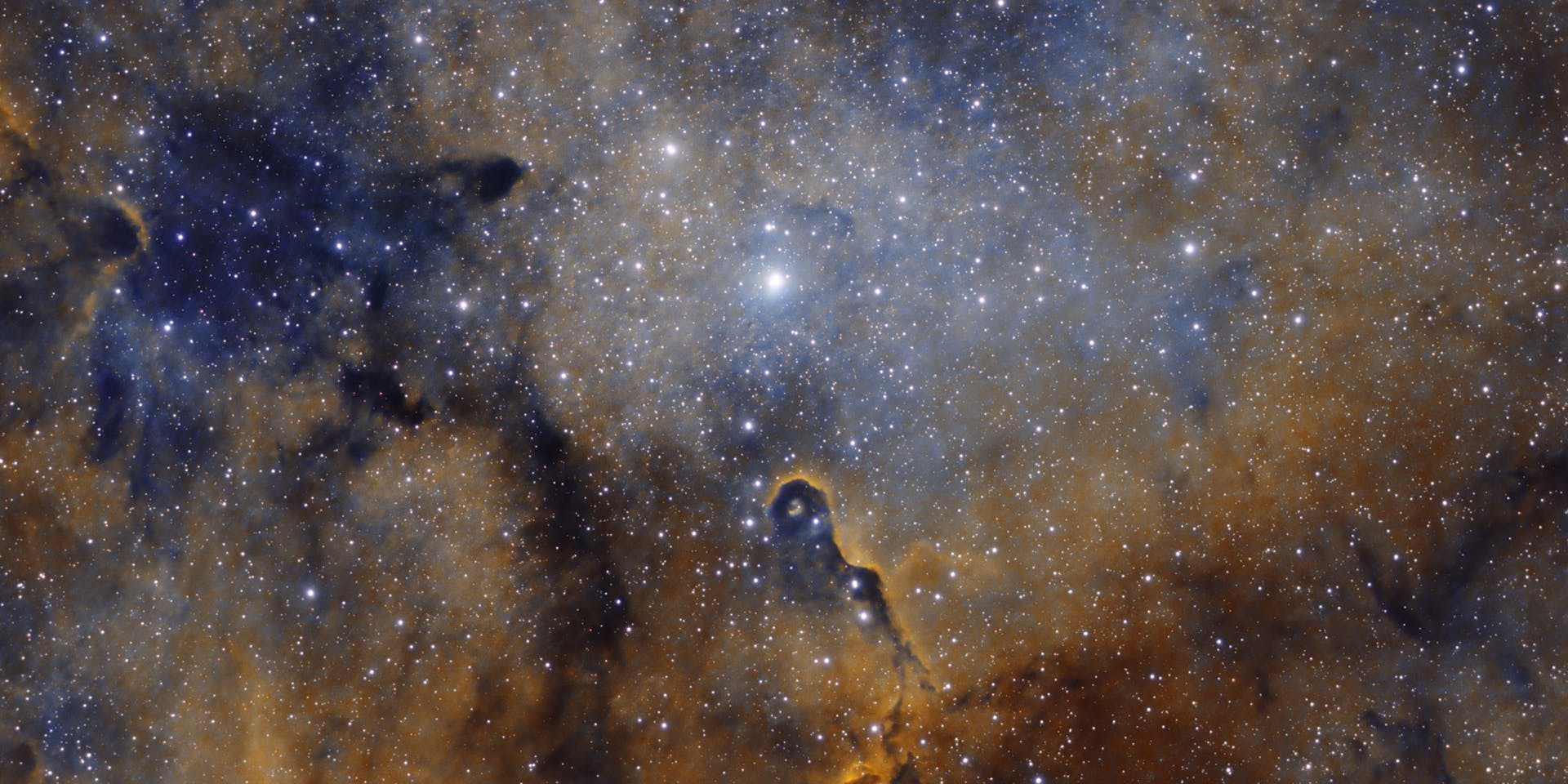 Elephant Trunk Nebula