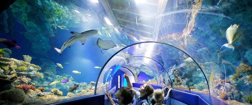 Bristol AQUARIUM