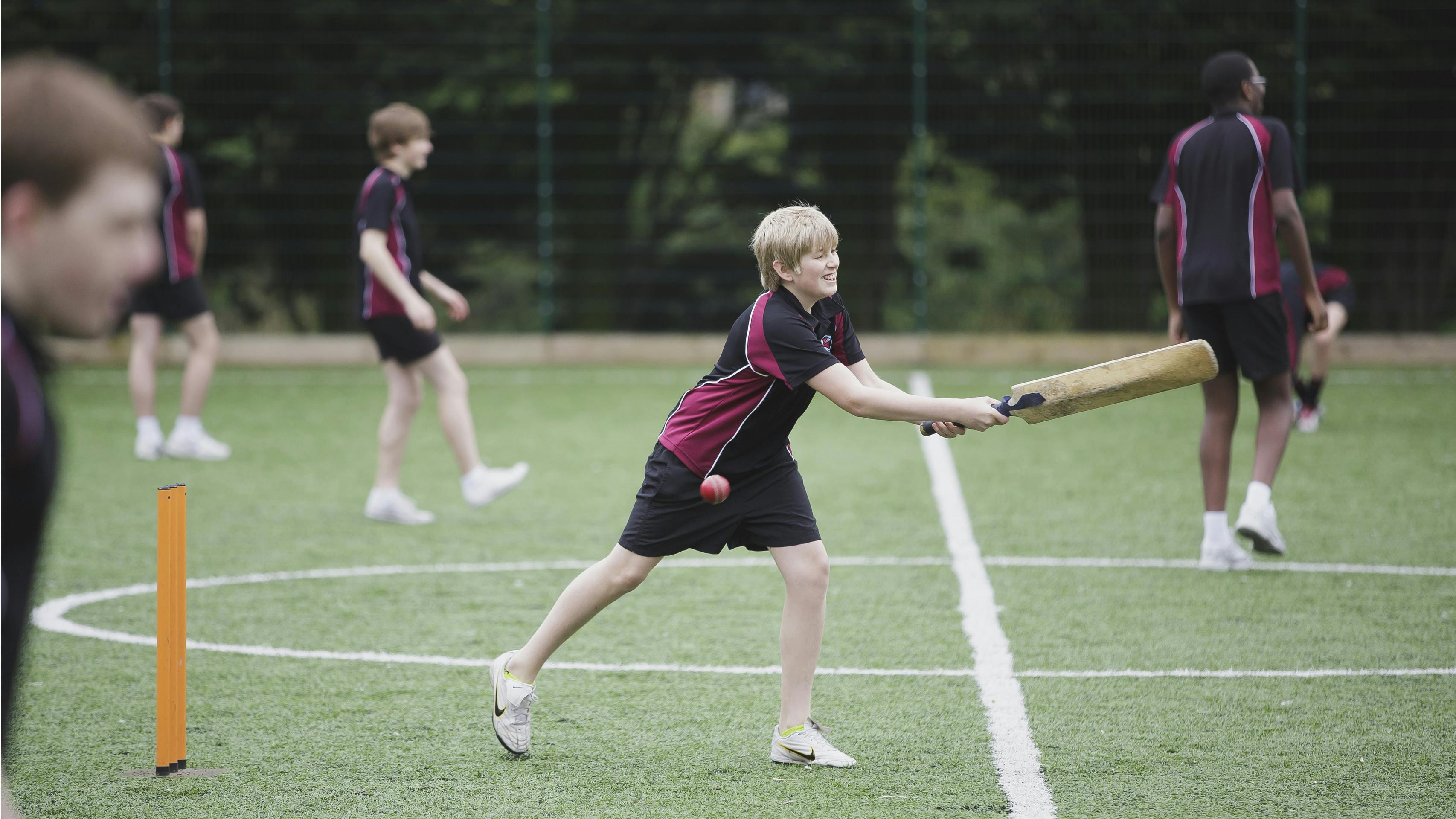 Cricket
