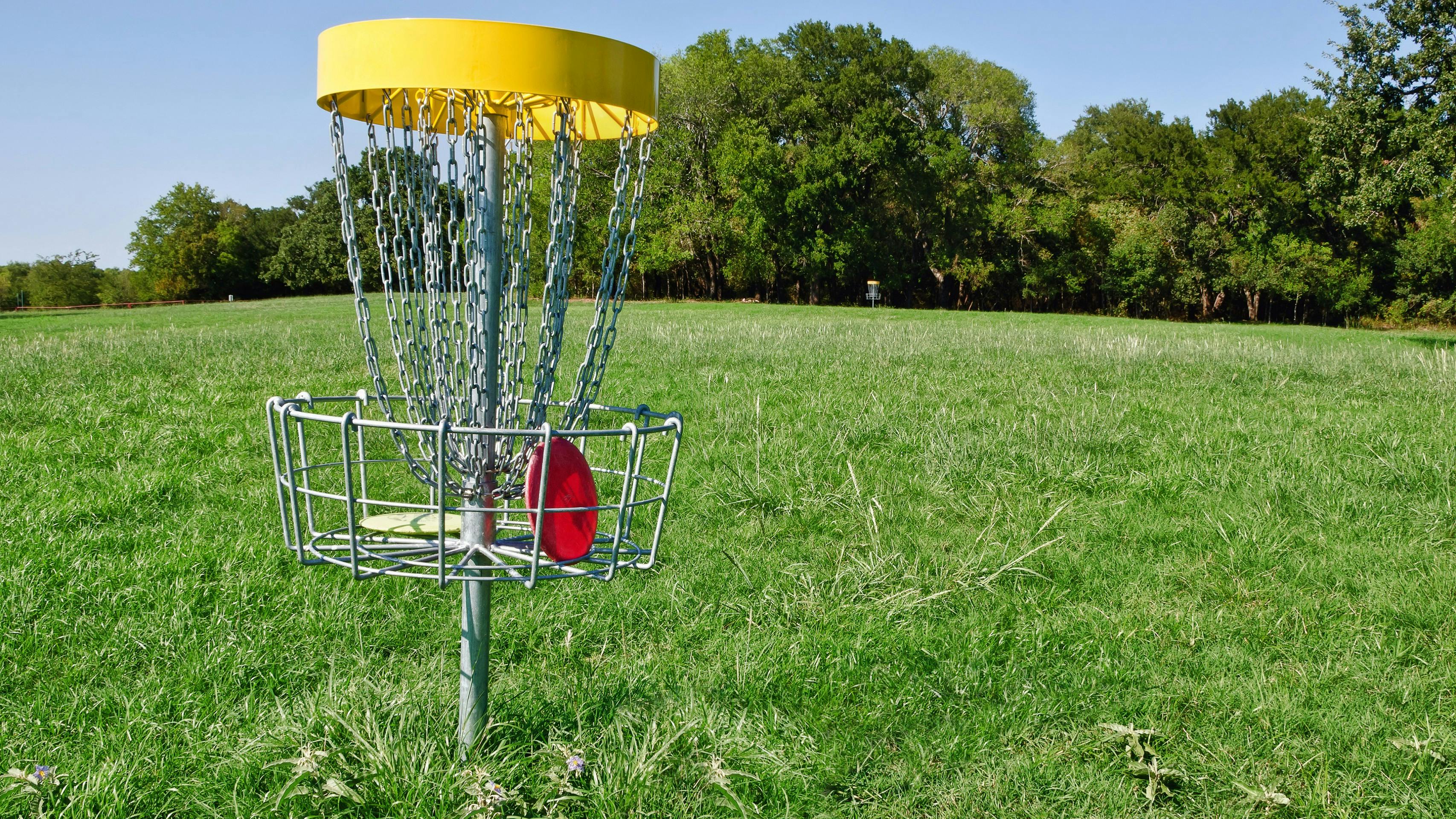 Disc Golf