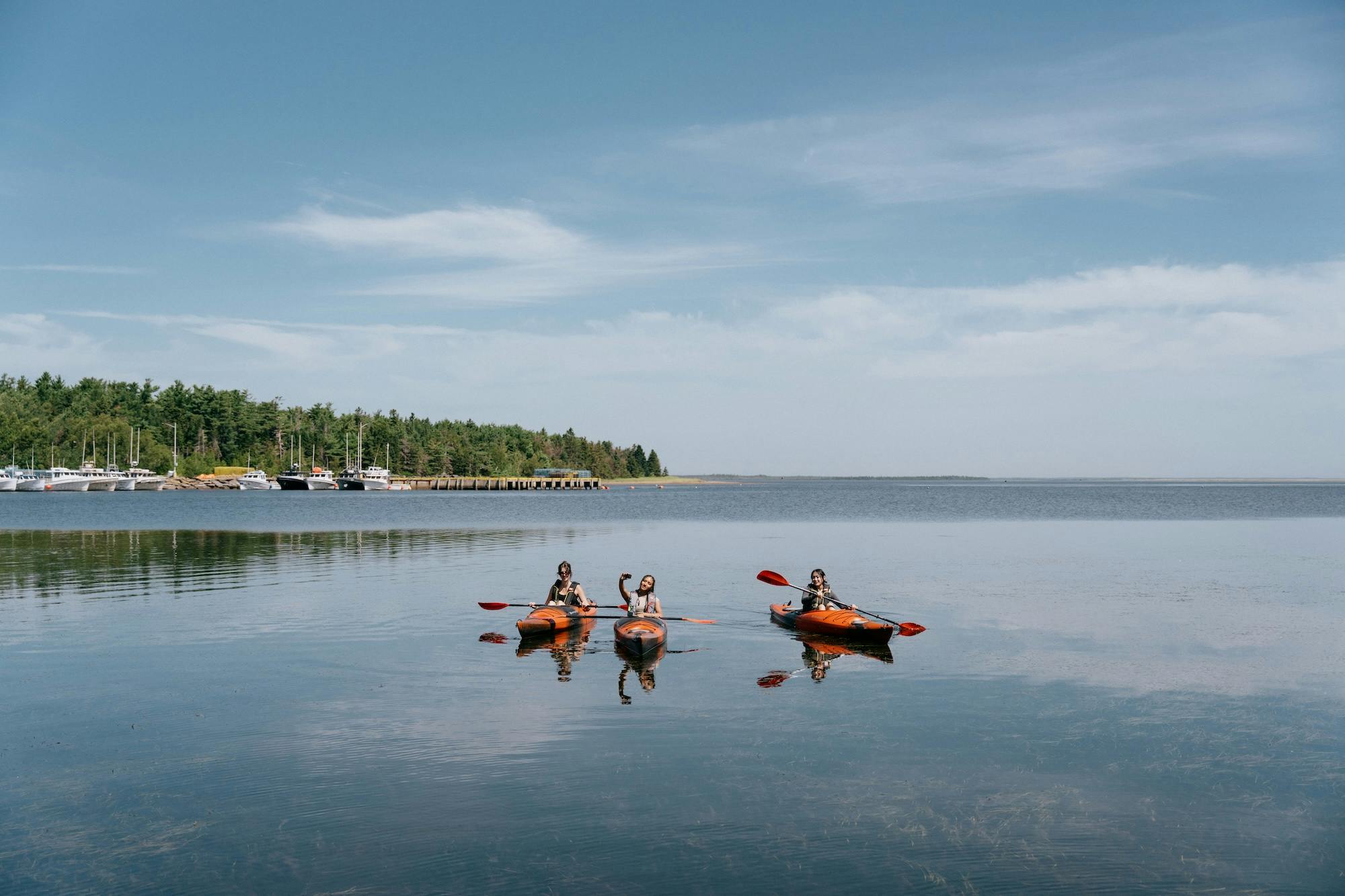 New Brunswick boasts 14 massive parks you should visit.