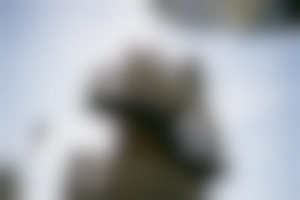 New Brunswick Image