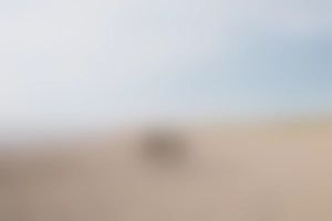 New Brunswick Image