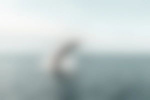 New Brunswick Image