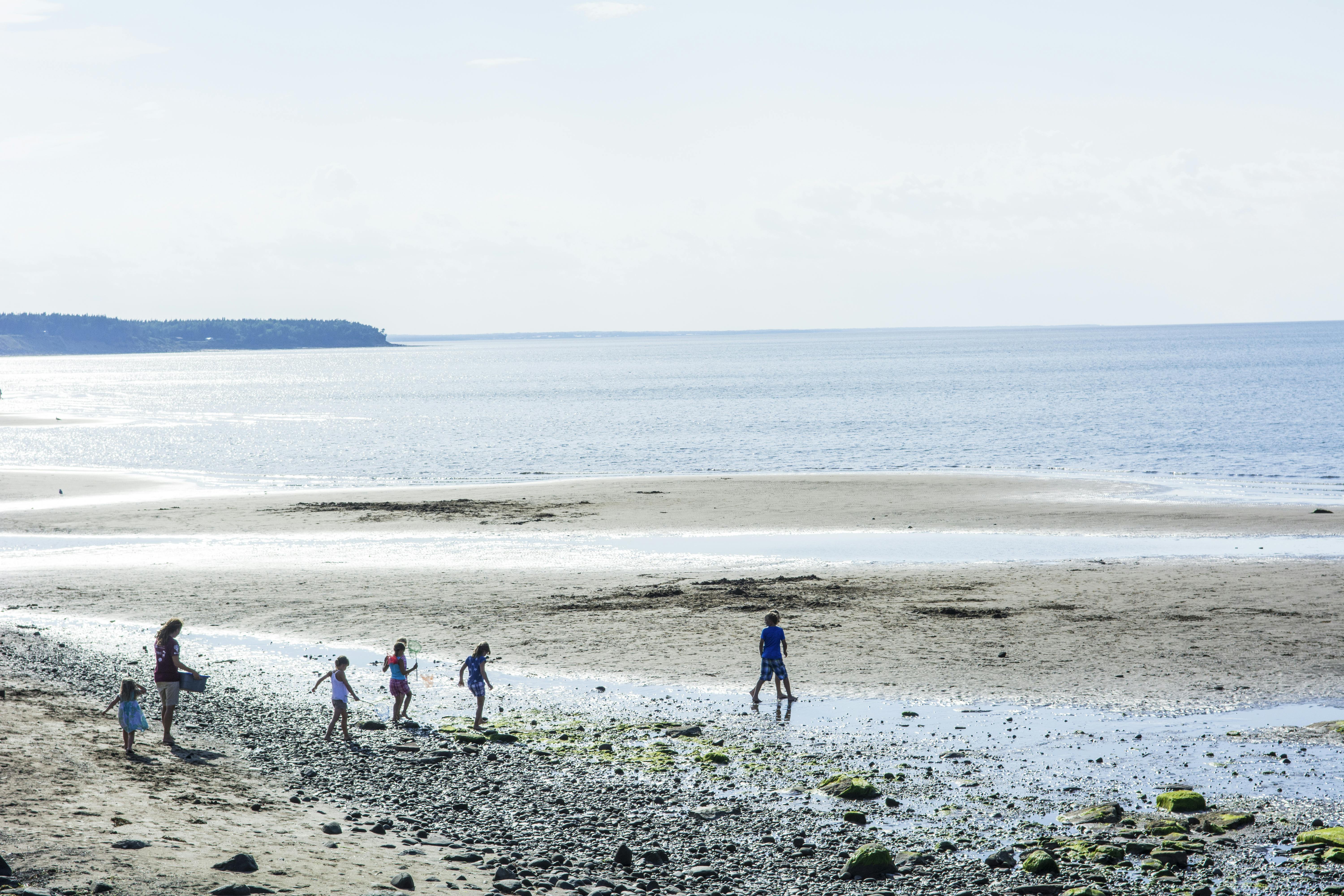 Des parcs régionaux à visiter partout au Canada