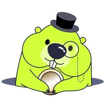 Burrow Finance