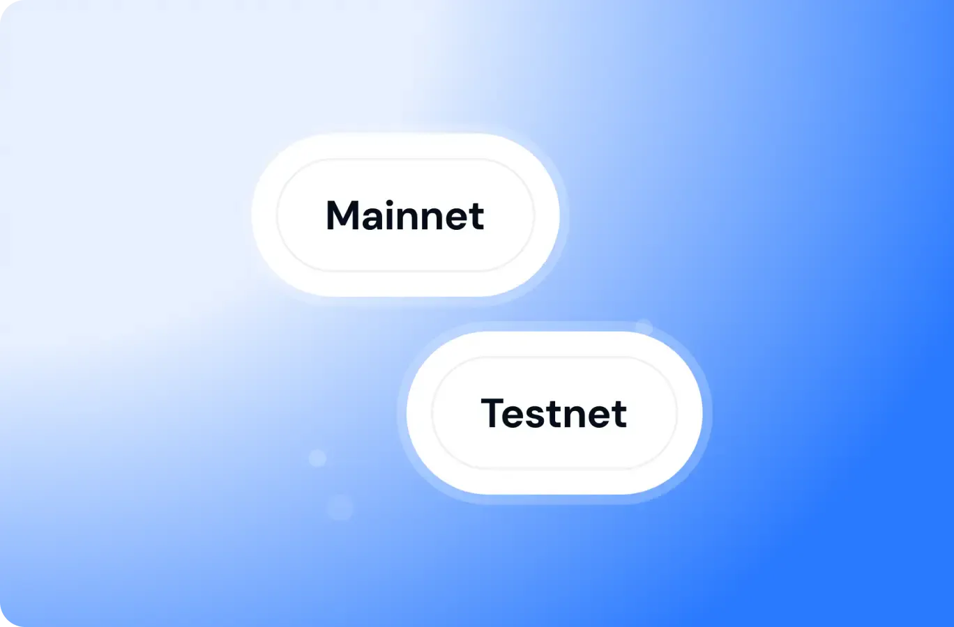 mainnet and testnet access