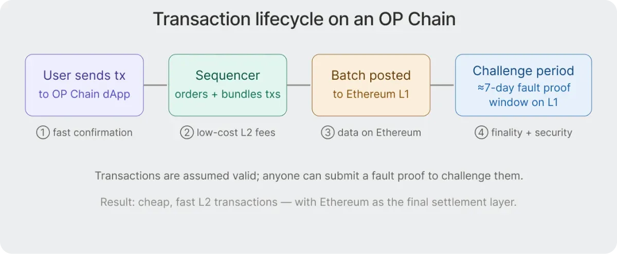 how transactions work on an OP Stack chain