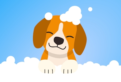 how-to-start-a-mobile-pet-grooming-business