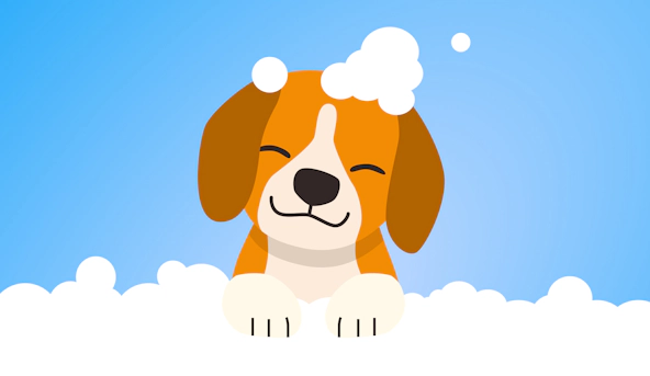 how-to-start-a-mobile-pet-grooming-business