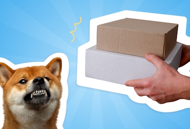 aggressive-dog-on-delivery-route