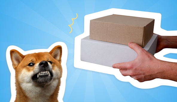 aggressive-dog-on-delivery-route