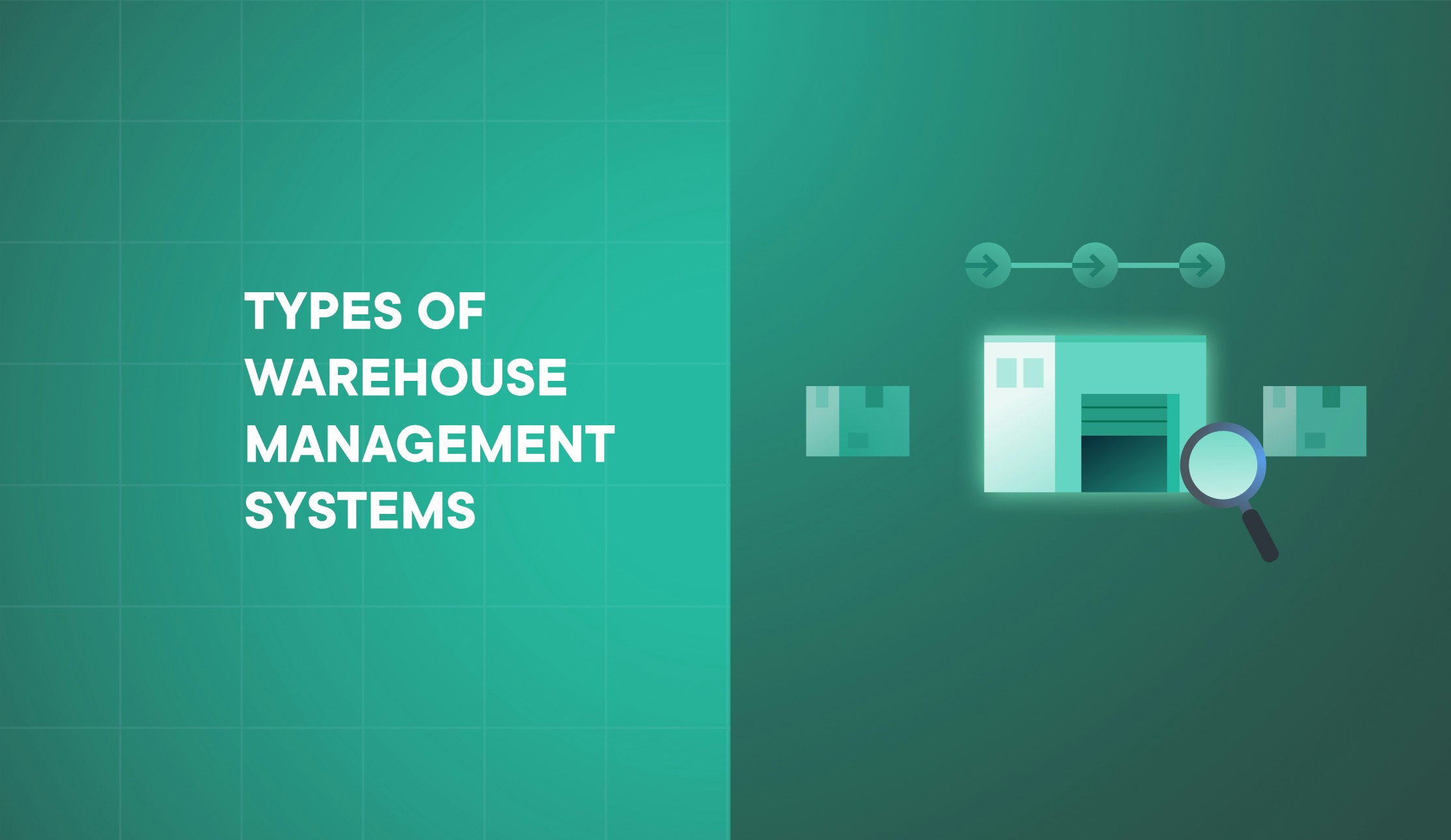 types of wms systems