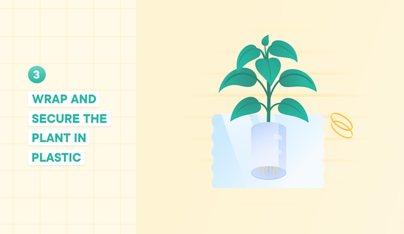 how to ship plants step 3