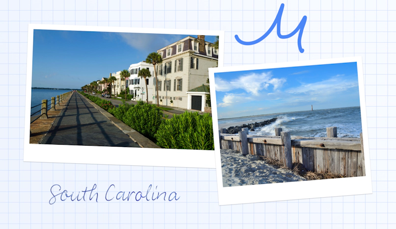 Here's how much money delivery drivers make in South Carolina