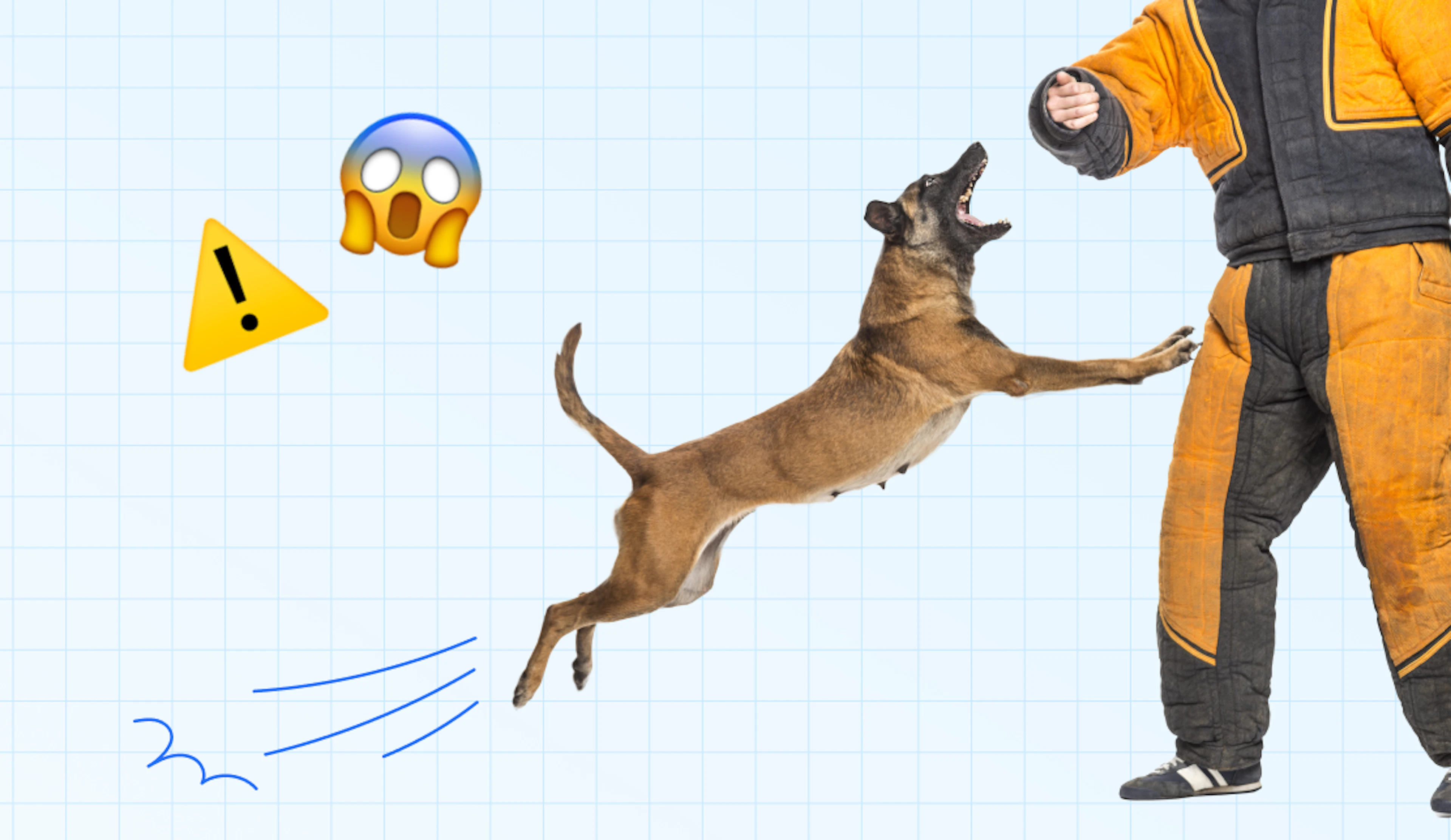 A Delivery Driver’s Guide to Dog Attacks