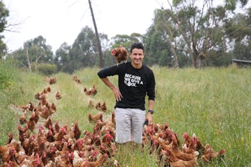Zac with a lot of chickens and a chicken in his shoulder