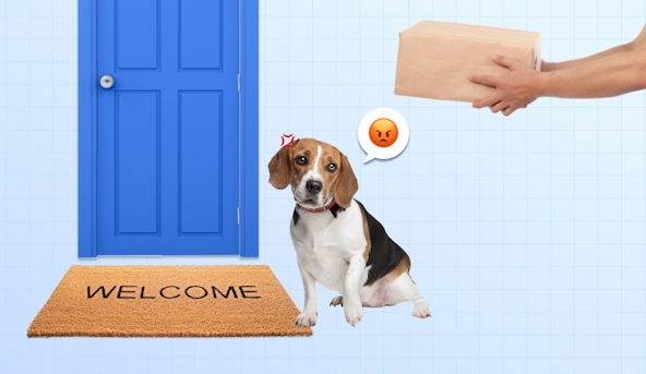 delivery-driver-dog-attack-guide