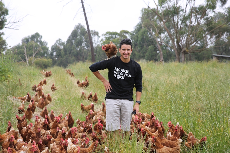 Burd stands among his flock of chickens.