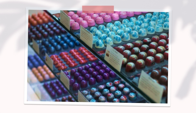 Last Mile Delivery Software Functionality: 6 Things to Look For. Chocolate lab