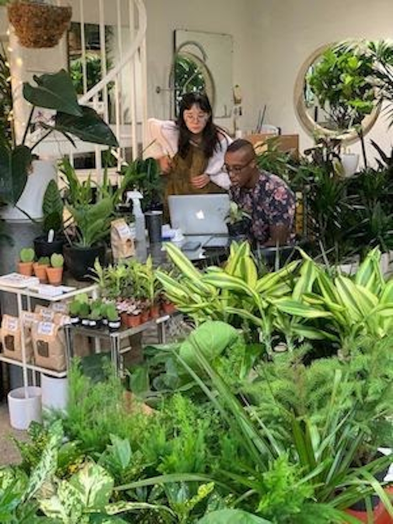 The inside of the Plant Shop in Seattle