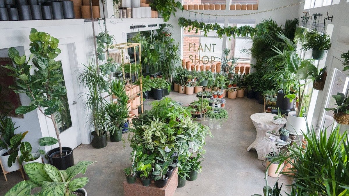 A photo inside of the Plant Shop in Seattle