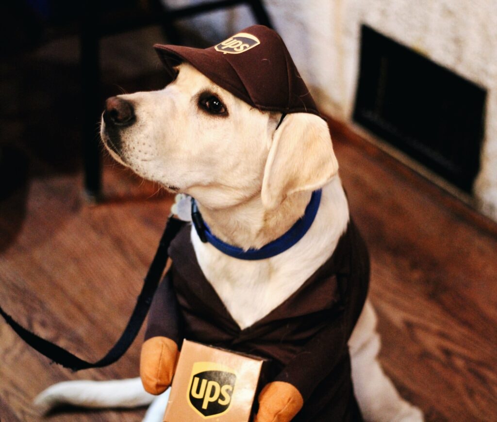 Contract Delivery Jobs: What They Are and Where to Find Them: Dog in UPS outfit