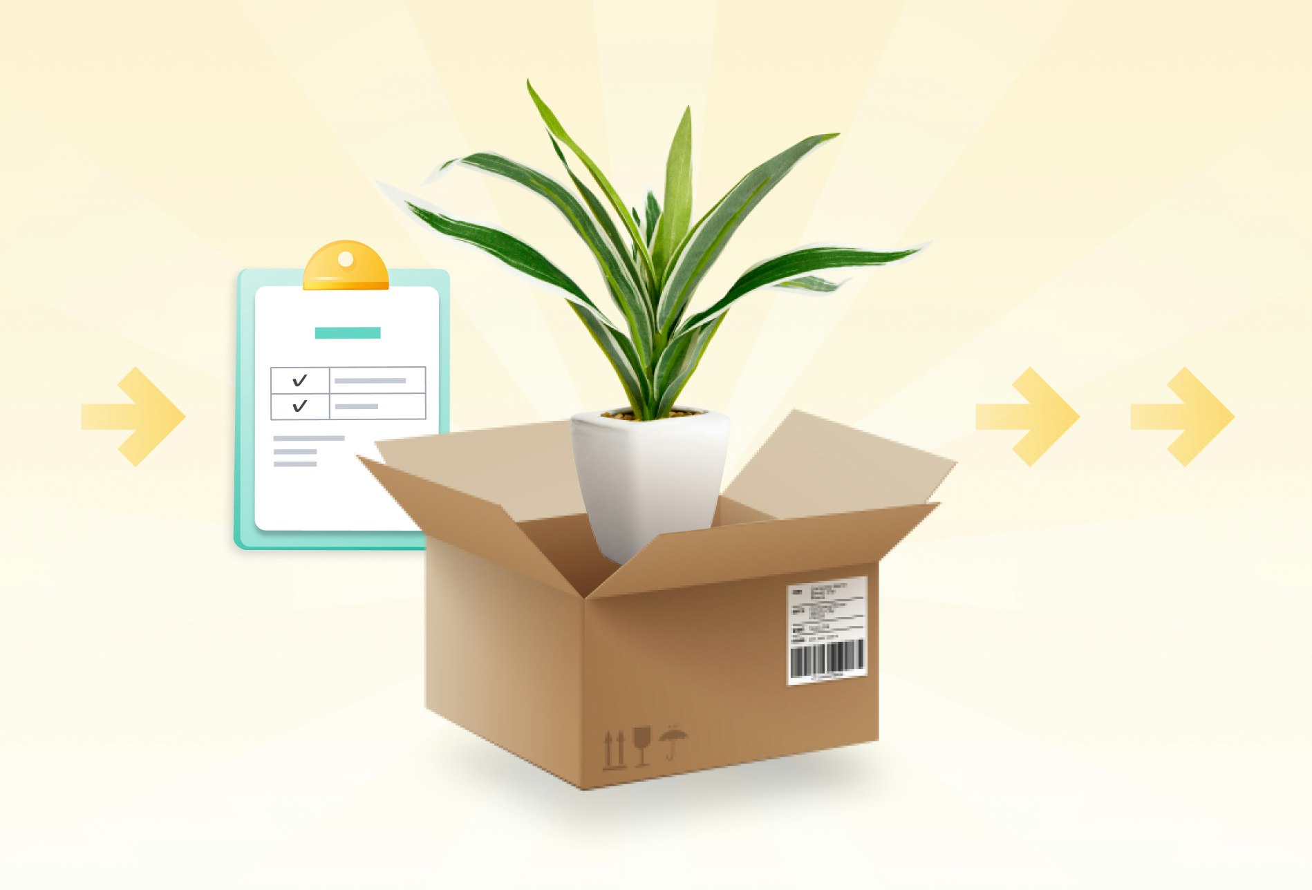 how-to-ship-plants