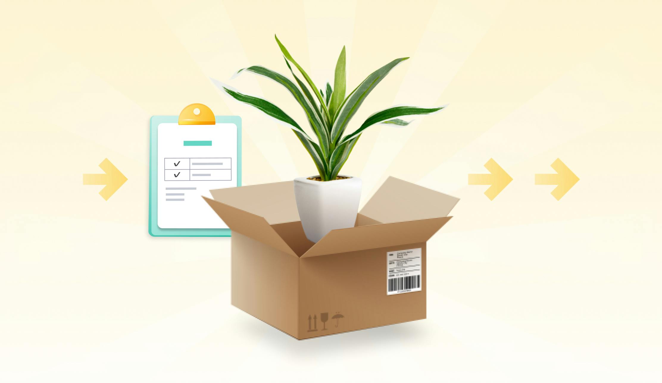 how-to-ship-plants-spaghuman-moss-for-plants