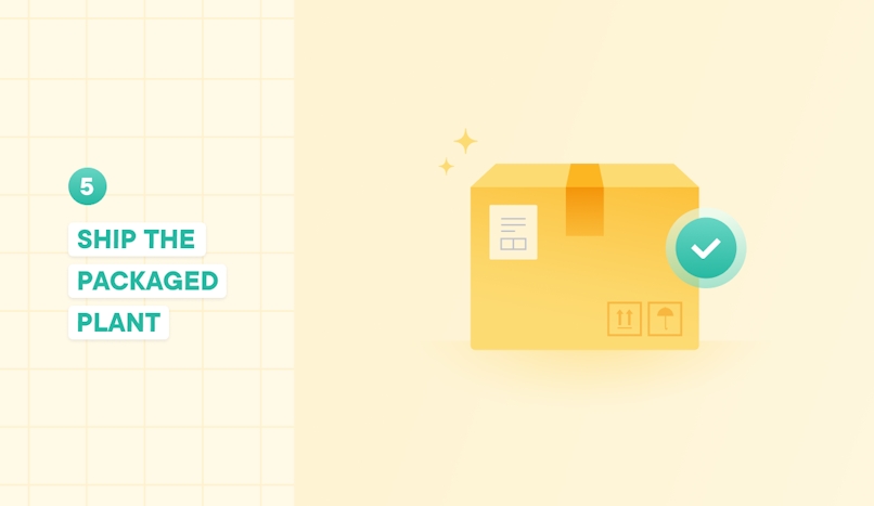 how to ship plants step 5