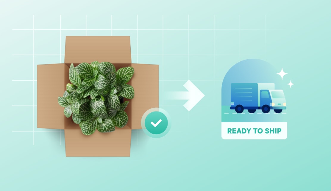 shipping a plant