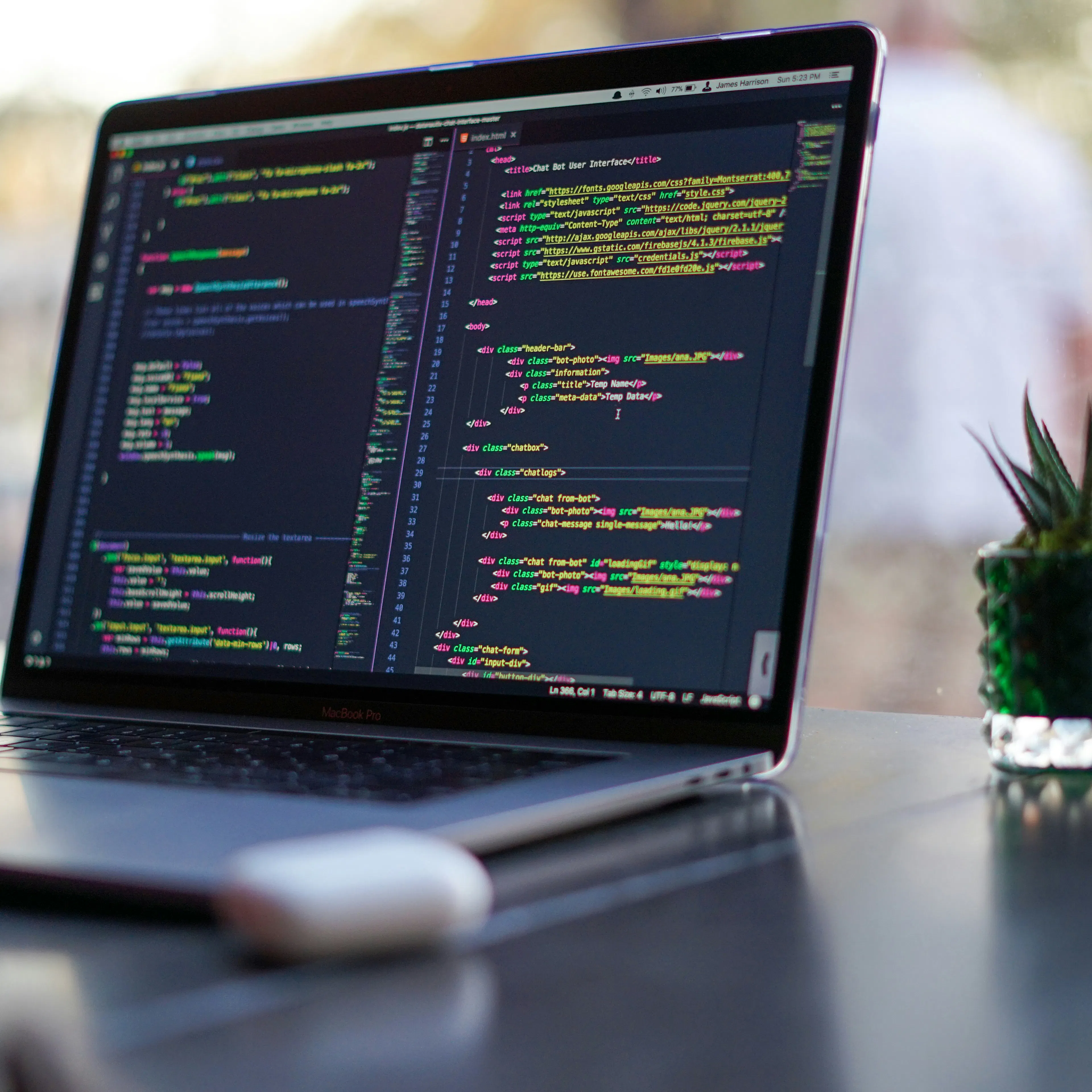 Laptop with code and plant in coffee shop