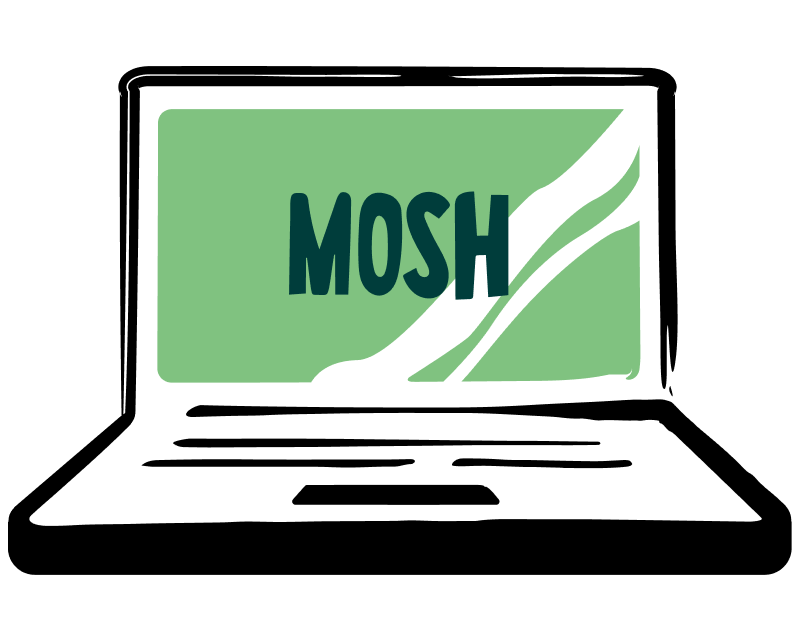 Mosh's illustration laptop