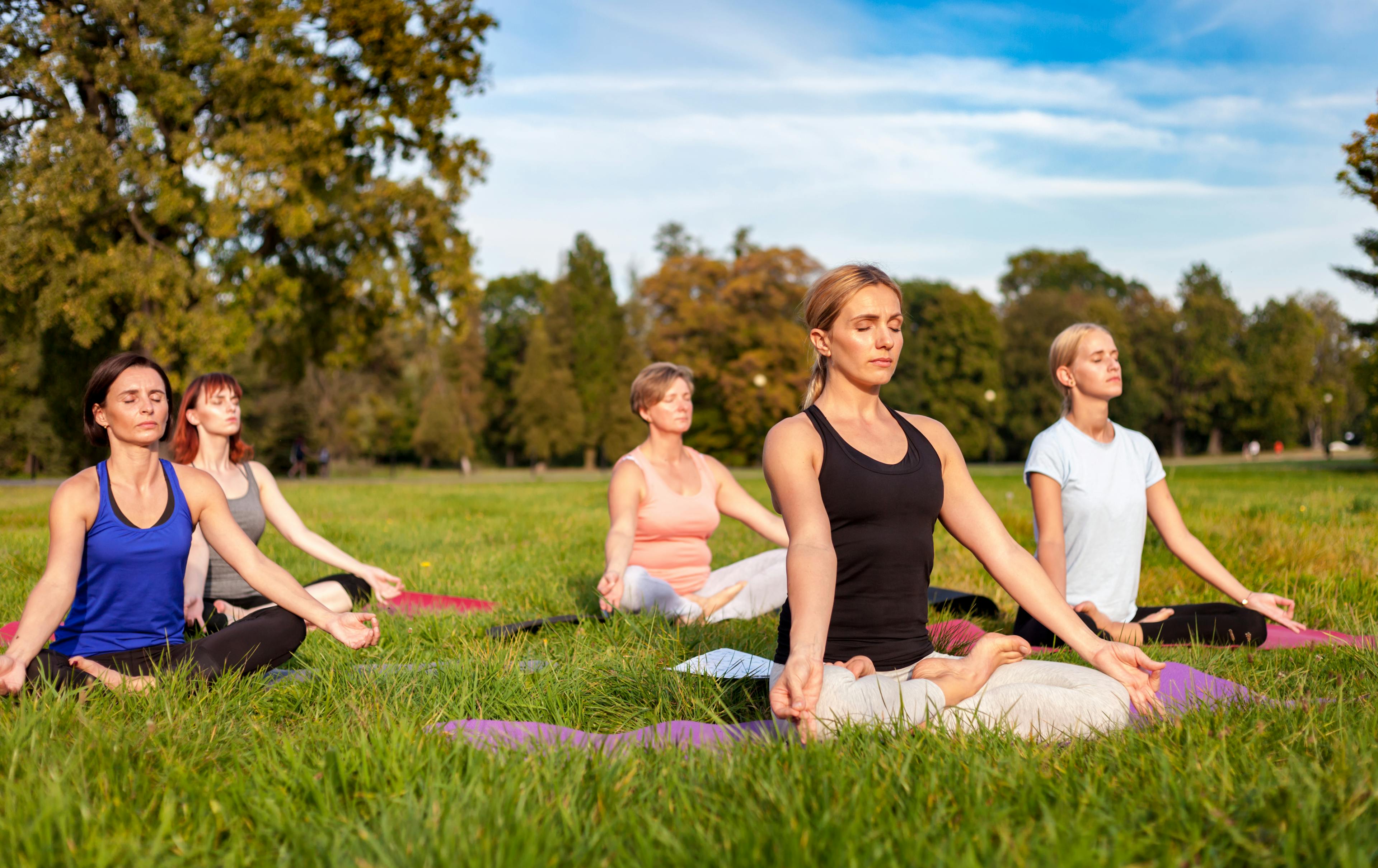 Group of ladies doing yoga in the park