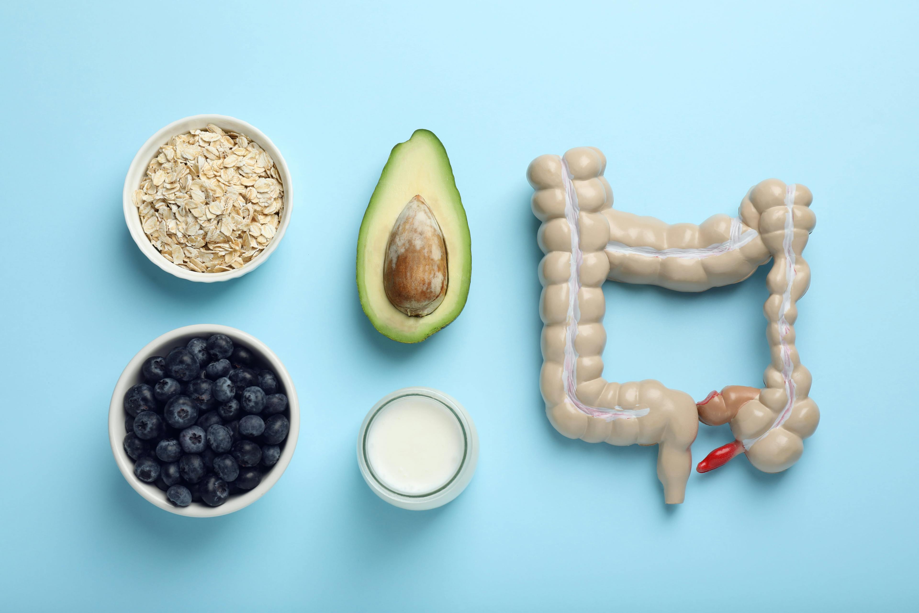 Understanding the Foundations of Gut Health