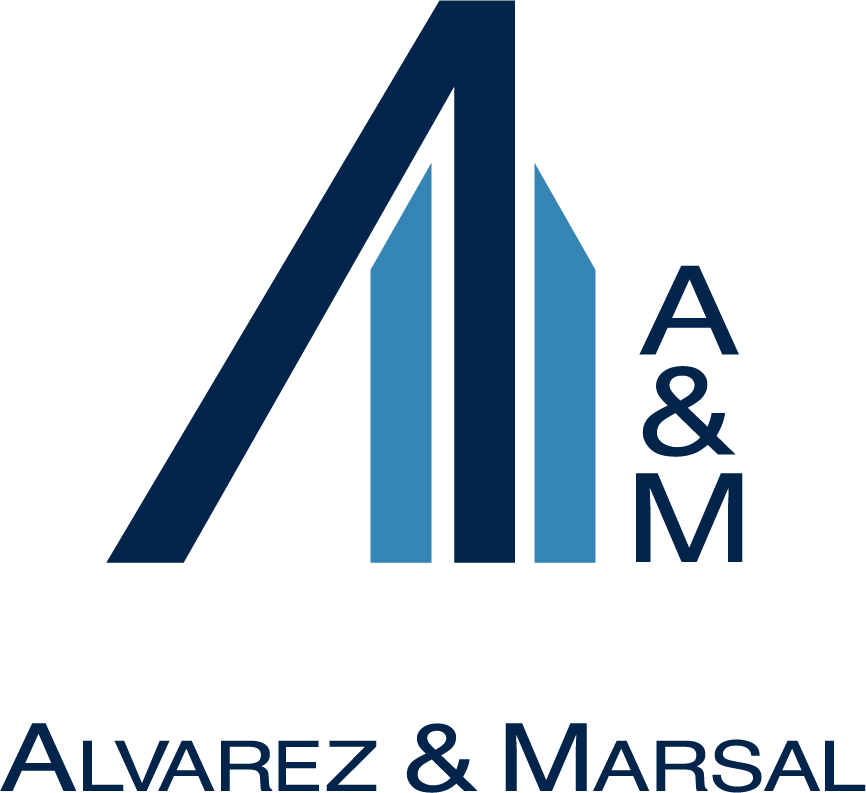 Alvarez & Marsal Public Sector Services