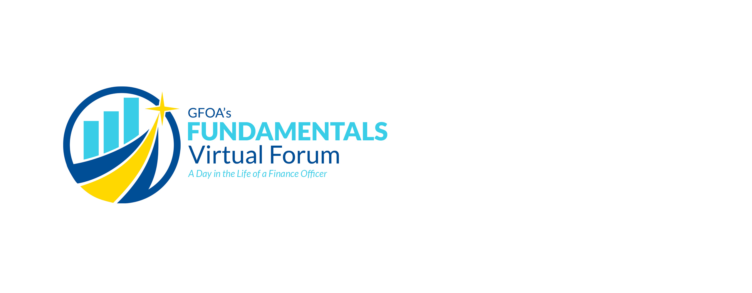 Introduction The Role of an Effective CFO