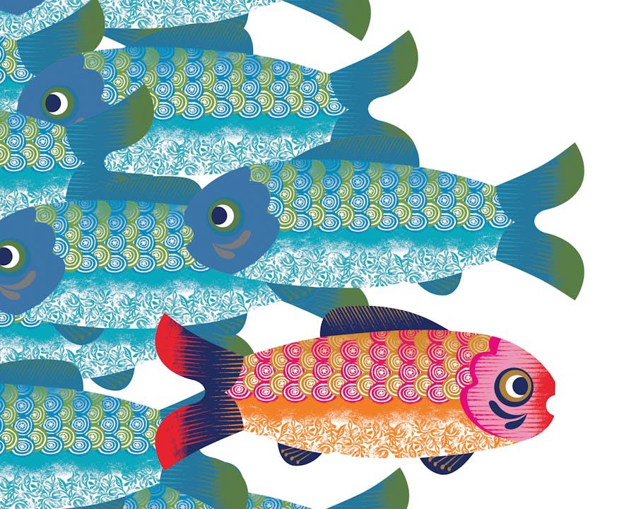 Image of fish with one swimming upstream and the others downstream. 