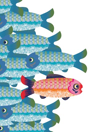 Image of fish.